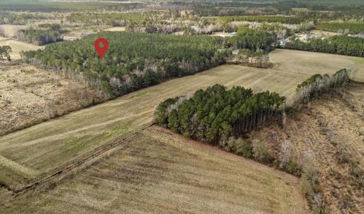 DJI_20251203123313_0038_D 2copy