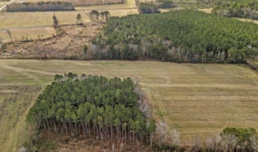 DJI_20251203123413_0044_D