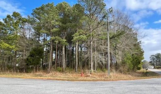 Photo #4 of New, Columbia, NC 4.5 acres