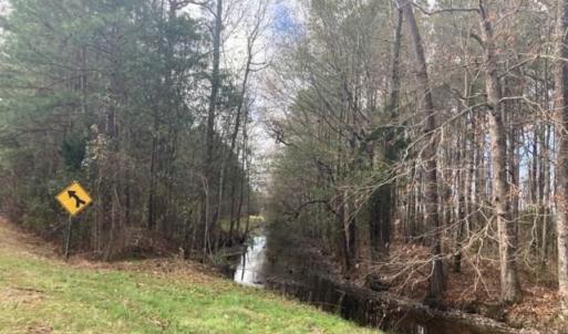 Photo #7 of New, Columbia, NC 4.5 acres