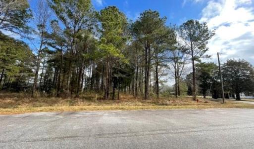 Photo #2 of New, Columbia, NC 4.5 acres