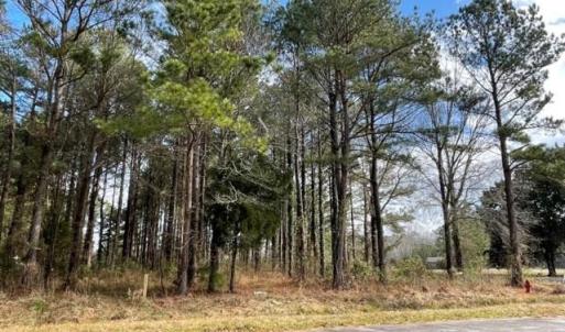 Photo #3 of New, Columbia, NC 4.5 acres