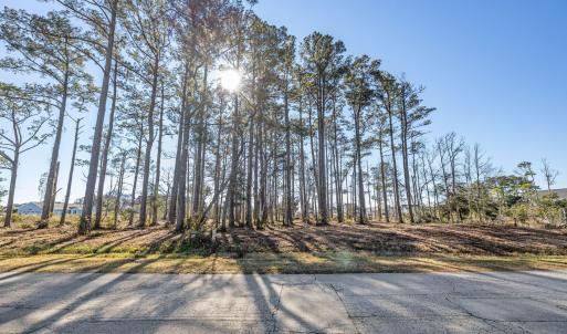 4-web-or-mls-1S3A0486