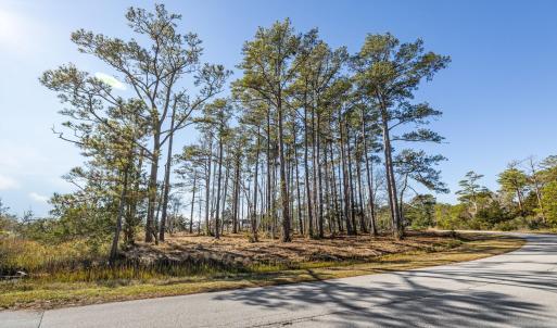 3-web-or-mls-1S3A0482