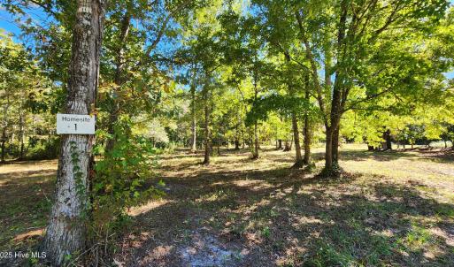 112 Sandy Point