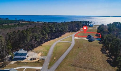 Lot 368 - with lines (2)