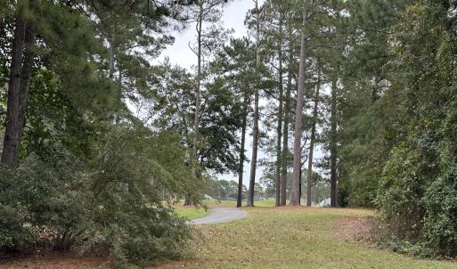 Back view to cart path