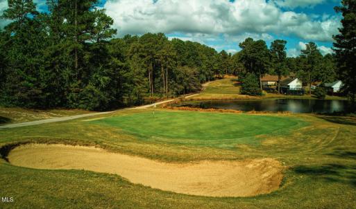 #13 Fall