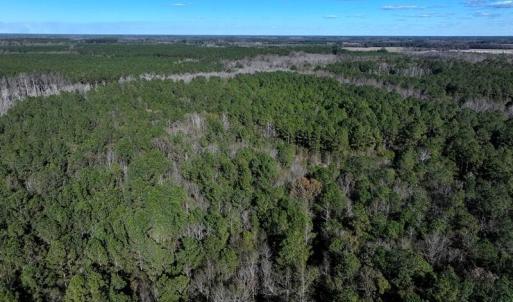 DJI_20251202060750_0667_D