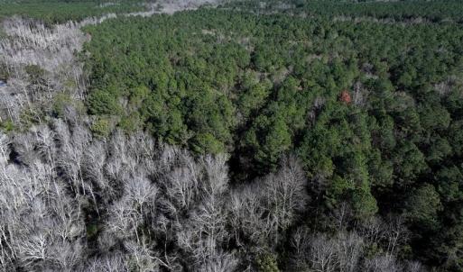 DJI_20251202060628_0664_D