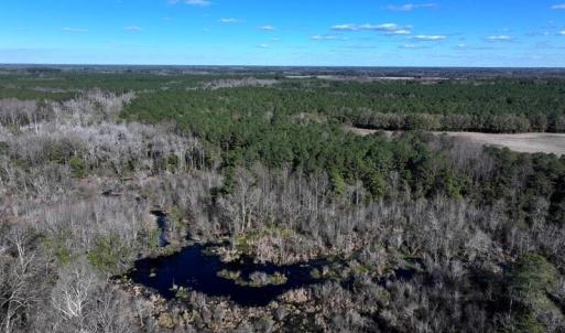 DJI_20251202060532_0663_D