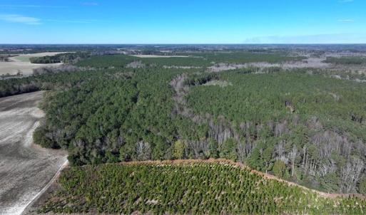 DJI_20251202060257_0657_D