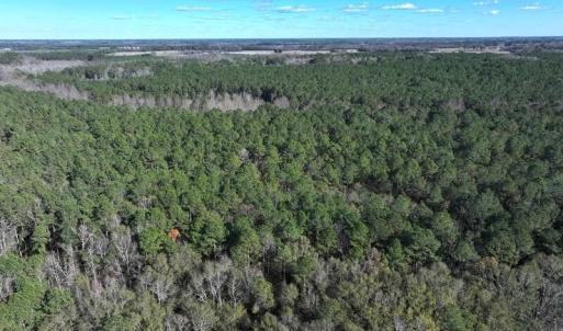 DJI_20251202060804_0668_D