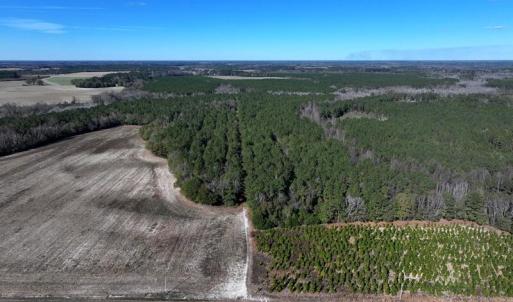 DJI_20251202060308_0658_D