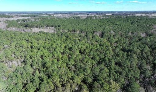 DJI_20251202060825_0669_D