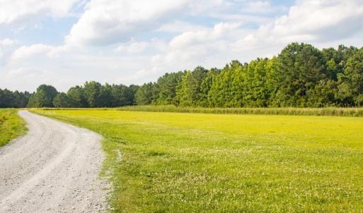 300 Cabin Creek Lane, Merritt, NC 28556