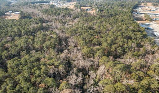 12-web-or-mls-DJI_0414