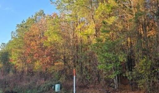 -8051014348561375577