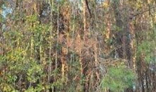 -4077019697882953068