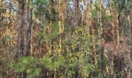 -2852844855709371030