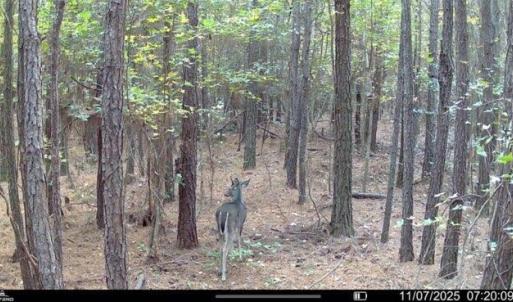 -5359027586820103637