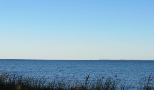 IMG_2395