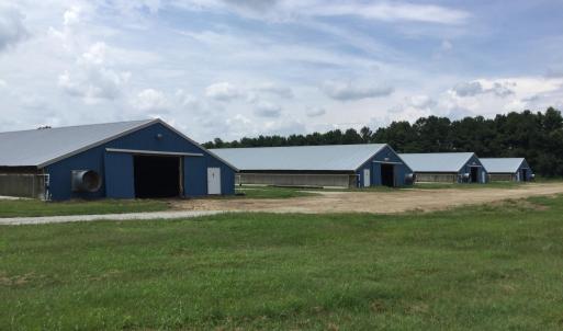 Old Field Cemetery Memphis