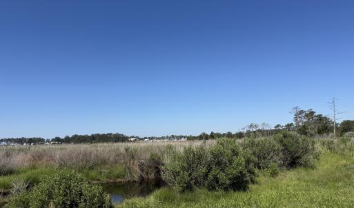 Photo #4 of 348 Battalina, Belhaven, NC 2.1 acres