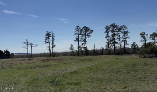 Photo #2 of 348 Battalina, Belhaven, NC 2.1 acres
