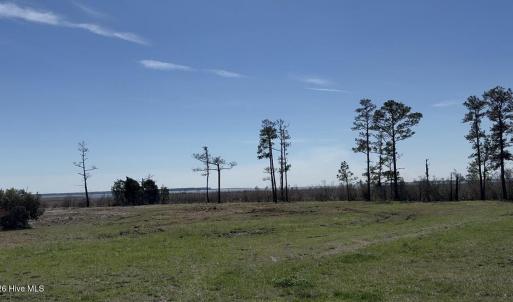 Photo #3 of 342 Battalina, Belhaven, NC 2.7 acres