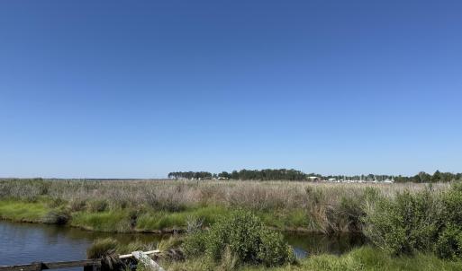 Photo #6 of 342 Battalina, Belhaven, NC 2.7 acres