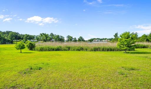 20-web-or-mls-DSC02160