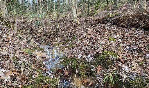 creeklot23