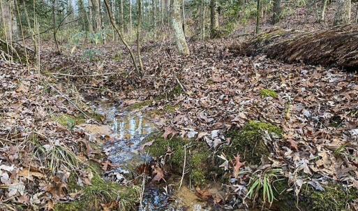 creeklot23