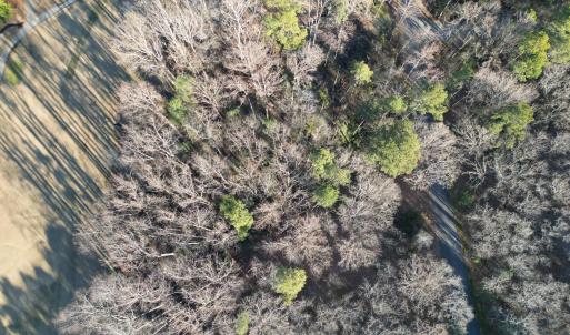DJI_0059
