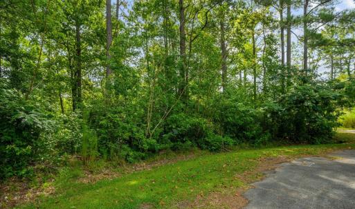 20-web-or-mls-DSC00980