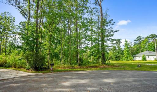 4-web-or-mls-DSC00979