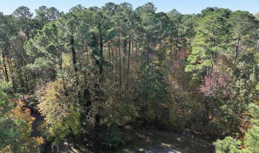 DJI_20251112115736_0399_D