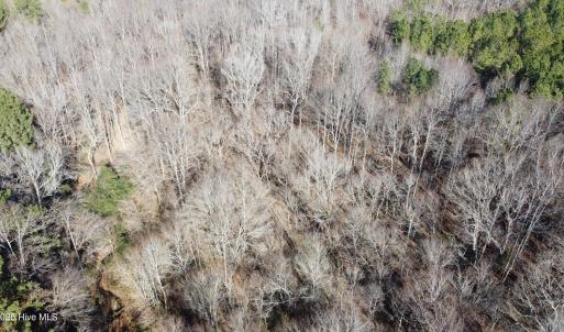 DJI_0752 copy