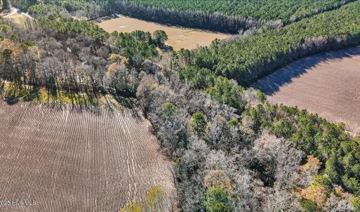 14-DJI_20251222111646_0143_D