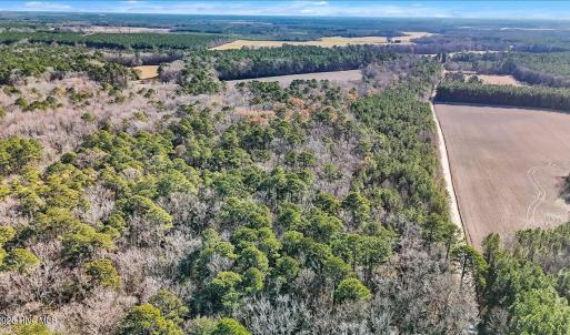 07-DJI_20251222111453_0113_D