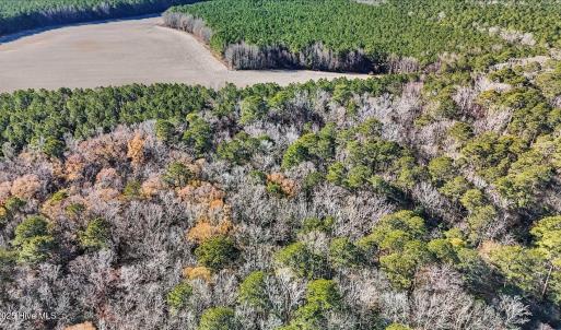 13-DJI_20251222111623_0138_D