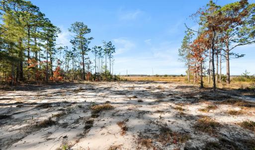 11-web-or-mls-DSC_3152