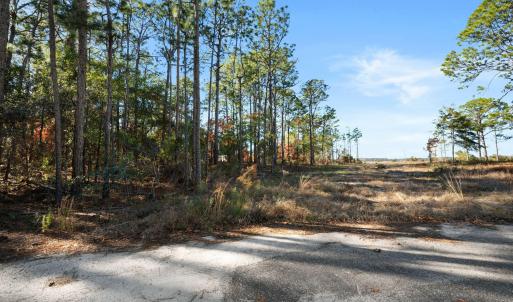 10-web-or-mls-DSC_3149