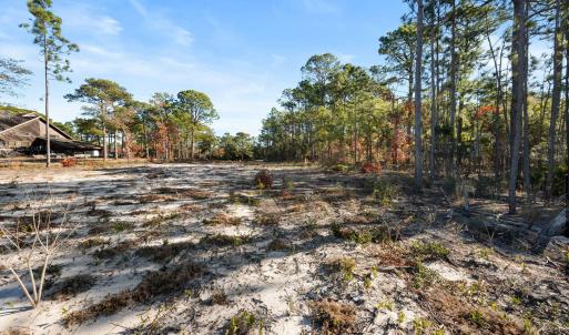 12-web-or-mls-DSC_3155