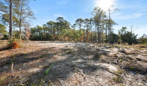 13-web-or-mls-DSC_3164