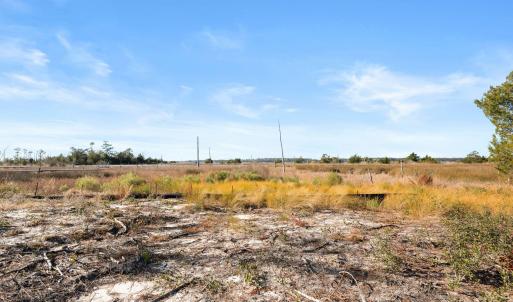 14-web-or-mls-DSC_3170