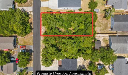 Property Lines Are Approximate