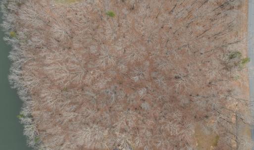 12-web-or-mls-1768 Rocky Cove Ln EXT012