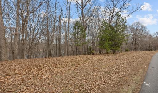 13-web-or-mls-1768 Rocky Cove Ln EXT013